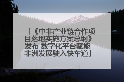 《中非产业链合作项目落地实施方案总纲》发布 数字化平台赋能非洲发展驶入快车道