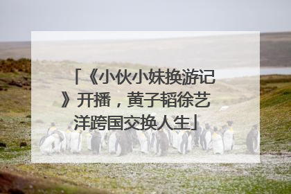 《小伙小妹换游记》开播，黄子韬徐艺洋跨国交换人生