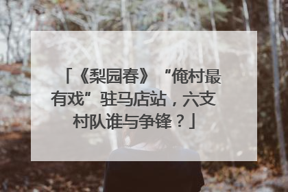 《梨园春》“俺村最有戏”驻马店站，六支村队谁与争锋？