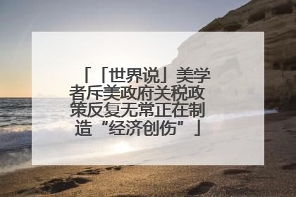 「世界说」美学者斥美政府关税政策反复无常正在制造“经济创伤”