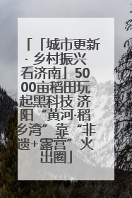 「城市更新· 乡村振兴看济南」5000亩稻田玩起黑科技 济阳“黄河·稻乡湾”靠“非遗+露营”火出圈