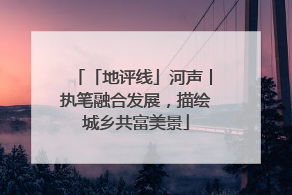 「地评线」河声丨执笔融合发展，描绘城乡共富美景