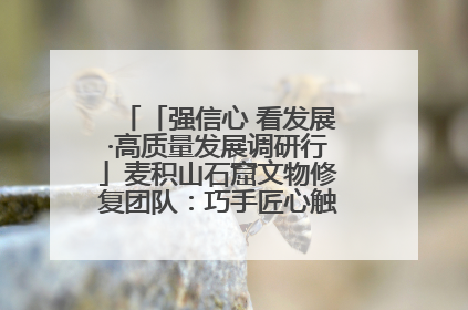 「强信心 看发展·高质量发展调研行」麦积山石窟文物修复团队：巧手匠心触摸“光阴的故事”