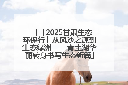「2025甘肃生态环保行」从风沙之源到生态绿洲——青土湖华丽转身书写生态新篇