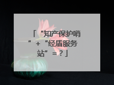 “知产保护哨”+“经盾服务站”=？