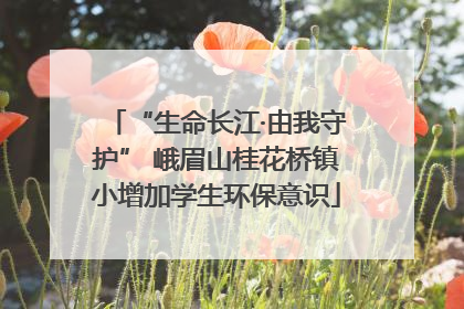 “生命长江·由我守护” 峨眉山桂花桥镇小增加学生环保意识