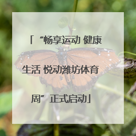 “畅享运动 健康生活 悦动潍坊体育周”正式启动