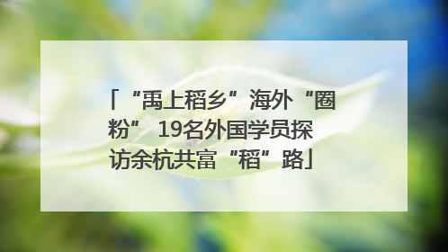“禹上稻乡”海外“圈粉” 19名外国学员探访余杭共富“稻”路