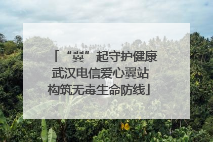 “翼”起守护健康 武汉电信爱心翼站构筑无毒生命防线