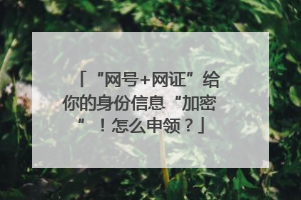 “网号+网证”给你的身份信息“加密”！怎么申领？