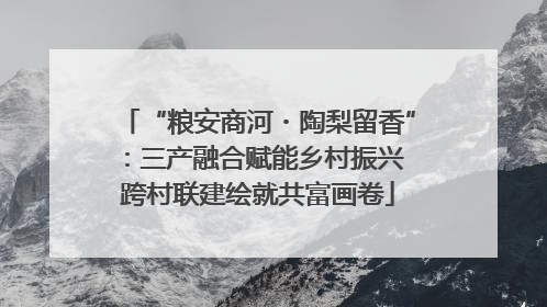 “粮安商河・陶梨留香”：三产融合赋能乡村振兴 跨村联建绘就共富画卷