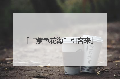 “紫色花海”引客来