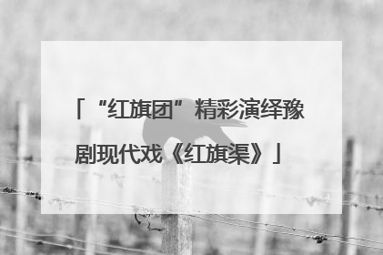 “红旗团”精彩演绎豫剧现代戏《红旗渠》