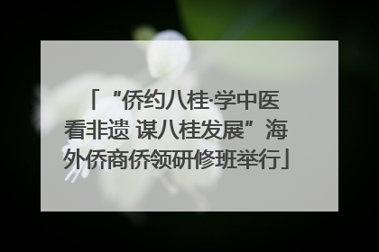 “侨约八桂·学中医 看非遗 谋八桂发展”海外侨商侨领研修班举行