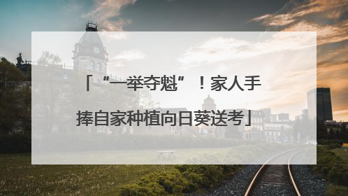 “一举夺魁”！家人手捧自家种植向日葵送考