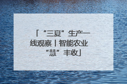 “三夏”生产一线观察丨智能农业“慧”丰收