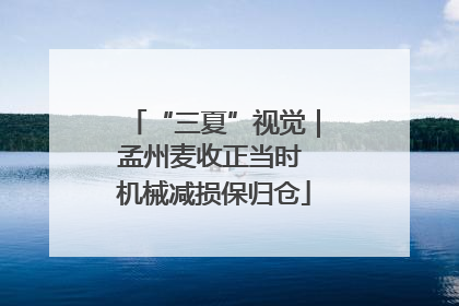 “三夏”视觉｜孟州麦收正当时 机械减损保归仓