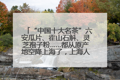 “中国十大名茶”六安瓜片、霍山石斛、灵芝孢子粉……都从原产地空降上海了，上海人这个周末得去农展中心逛逛咯～