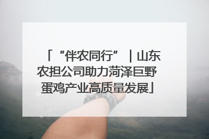 “伴农同行”｜山东农担公司助力菏泽巨野蛋鸡产业高质量发展