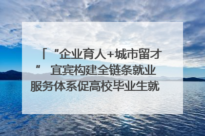 “企业育人+城市留才” 宜宾构建全链条就业服务体系促高校毕业生就业｜您牵挂的四川