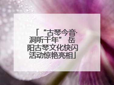 “古琴今音·洞听千年” 岳阳古琴文化快闪活动惊艳亮相