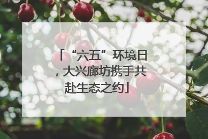 “六五”环境日，大兴廊坊携手共赴生态之约