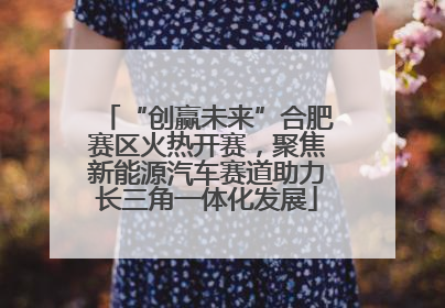“创赢未来”合肥赛区火热开赛，聚焦新能源汽车赛道助力长三角一体化发展