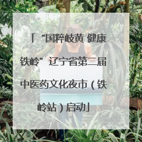 “国粹岐黄 健康铁岭”辽宁省第二届中医药文化夜市（铁岭站）启动
