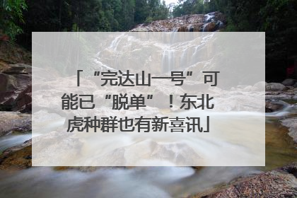 “完达山一号”可能已“脱单”！东北虎种群也有新喜讯