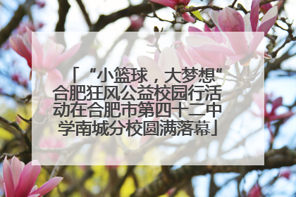 “小篮球，大梦想”合肥狂风公益校园行活动在合肥市第四十二中学南城分校圆满落幕