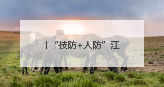 “技防+人防”江西抚州拧紧水库汛期安全“防御弦”