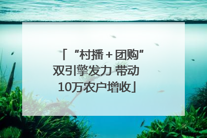 “村播＋团购”双引擎发力 带动10万农户增收