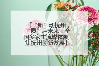 “新”动抚州，“质”启未来：全国多家主流媒体聚焦抚州创新发展