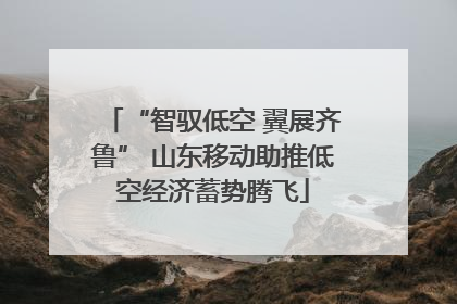 “智驭低空 翼展齐鲁” 山东移动助推低空经济蓄势腾飞