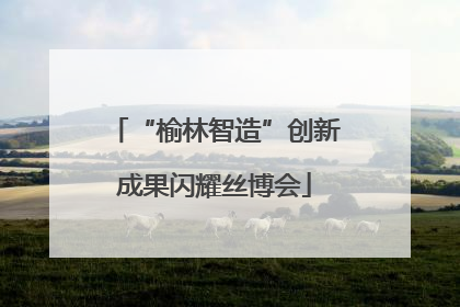 “榆林智造”创新成果闪耀丝博会