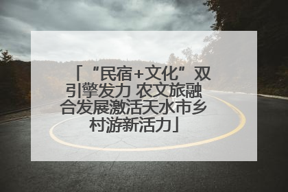 “民宿+文化”双引擎发力 农文旅融合发展激活天水市乡村游新活力