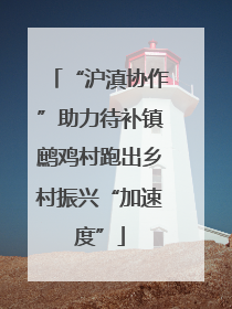 “沪滇协作”助力待补镇鹧鸡村跑出乡村振兴“加速度”