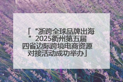 “浙跨全球品牌出海”2025衢州第五届四省边际跨境电商资源对接活动成功举办