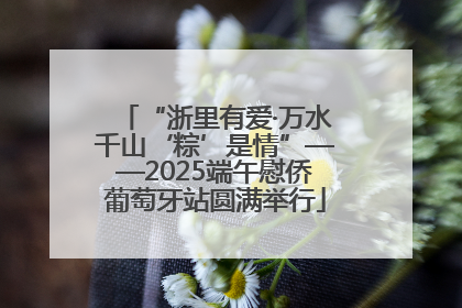 “浙里有爱·万水千山‘粽’是情”——2025端午慰侨葡萄牙站圆满举行