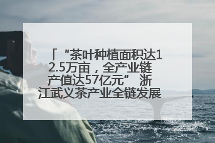 “茶叶种植面积达12.5万亩，全产业链产值达57亿元” 浙江武义茶产业全链发展“加速度”