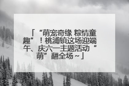 “萌宠奇缘 粽情童趣”！桃浦镇这场迎端午、庆六一主题活动“萌”翻全场～