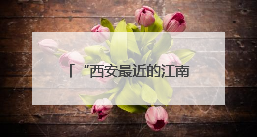 “西安最近的江南”一生必到的浪漫之地——郧西文旅推介活动在西安举行