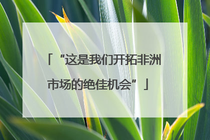 “这是我们开拓非洲市场的绝佳机会”
