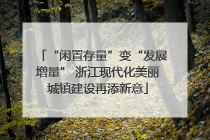 “闲置存量”变“发展增量” 浙江现代化美丽城镇建设再添新意