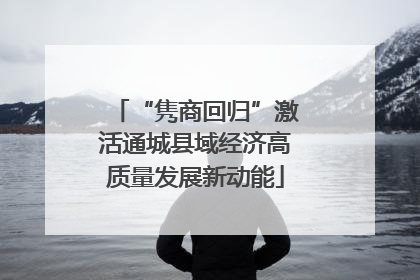 “隽商回归”激活通城县域经济高质量发展新动能