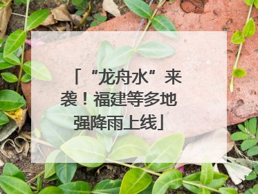 “龙舟水”来袭！福建等多地强降雨上线