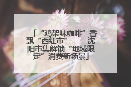 “鸡架味咖啡”香飘“西红市”——沈阳市集解锁“地域限定”消费新场景