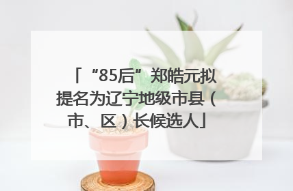 “85后”郑皓元拟提名为辽宁地级市县（市、区）长候选人