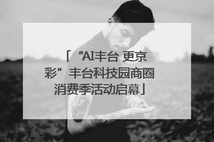 “AI丰台 更京彩”丰台科技园商圈消费季活动启幕