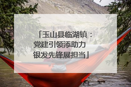 玉山县临湖镇：党建引领添助力 银发先锋展担当